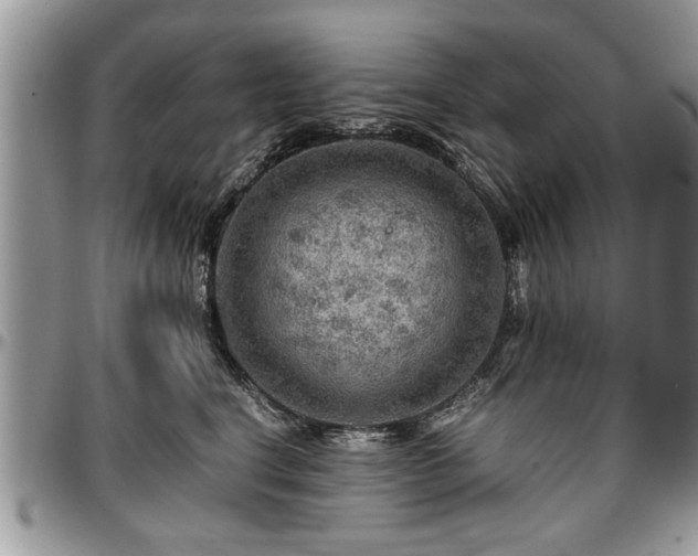 X0000096940664200802151216