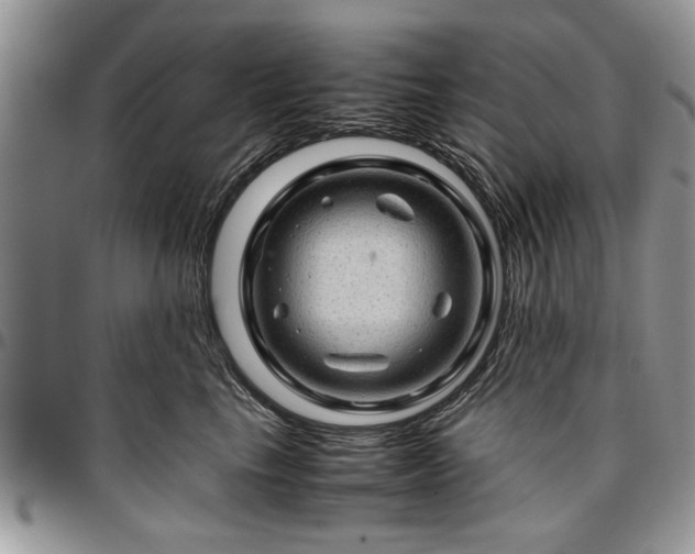 X0000096940665200802151216