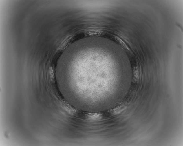 X0000096940667200802151216