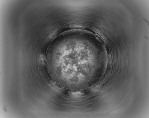 X0000096940669200802151216