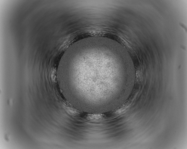 X0000096940671200802151216