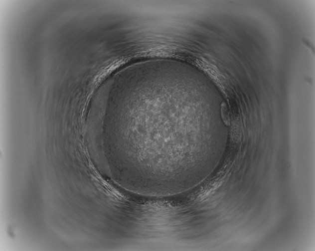 X0000096940673200802151215