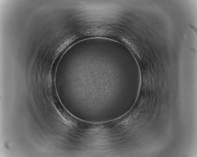 X0000096940674200802151215
