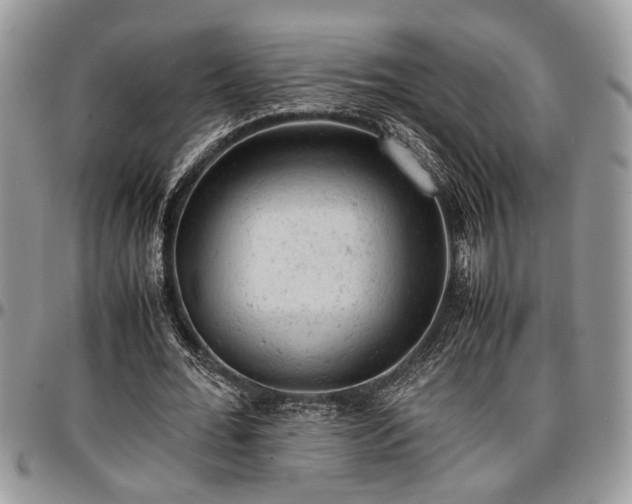 X0000096940676200802151215