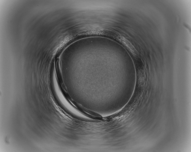 X0000096940677200802151215
