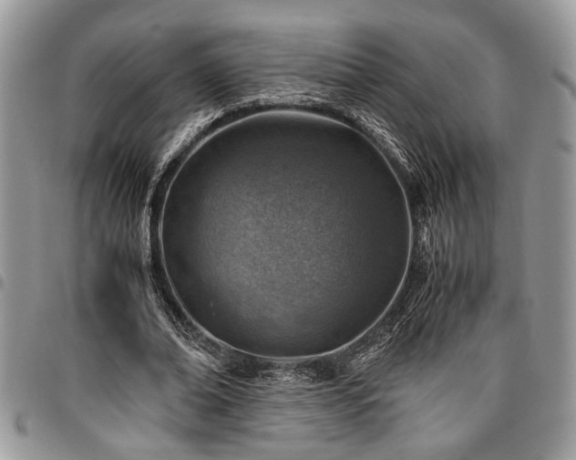 X0000096940678200802151215