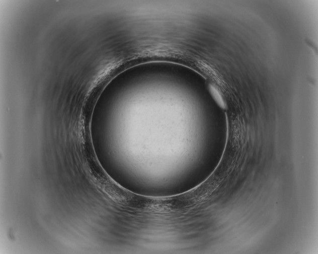 X0000096940680200802151215