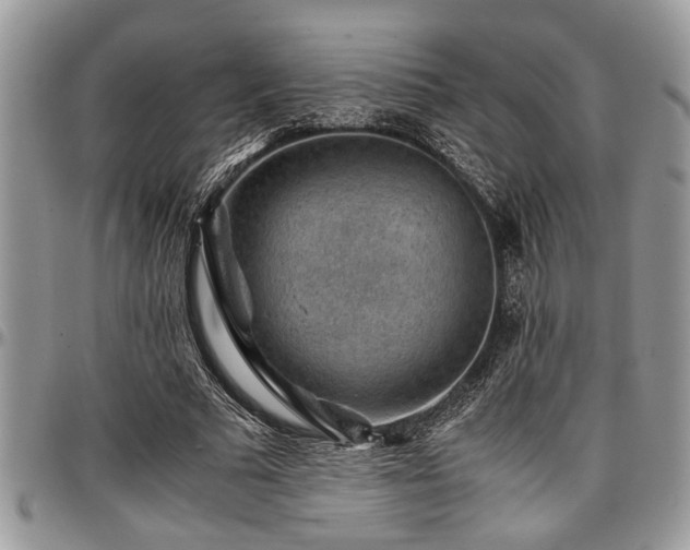 X0000096940681200802151215