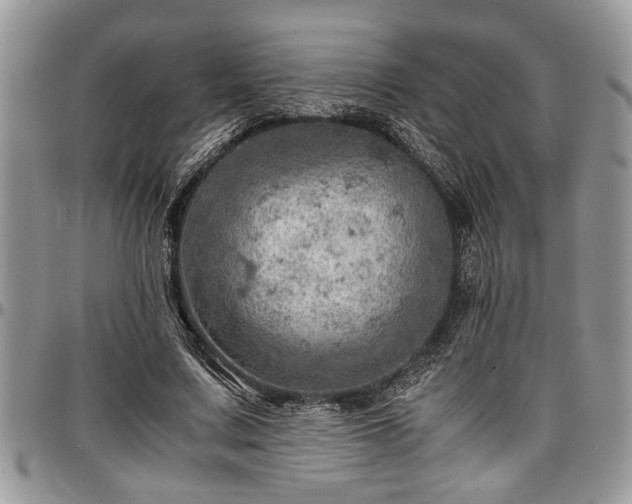X0000096940683200802151215