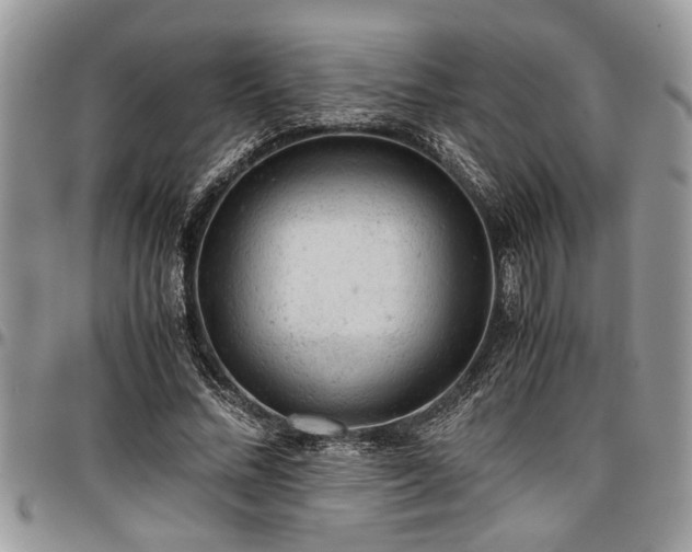 X0000096940684200802151215