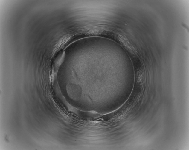 X0000096940685200802151215