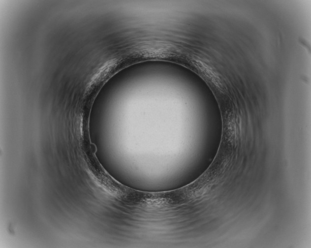 X0000096940686200802151215