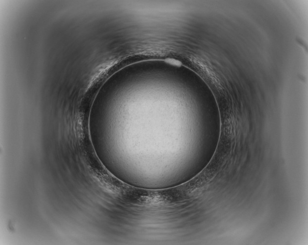 X0000096940688200802151215