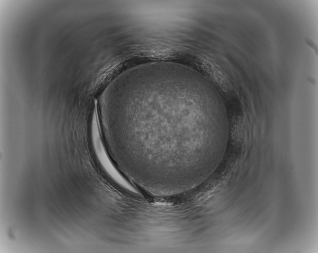 X0000096940689200802151215