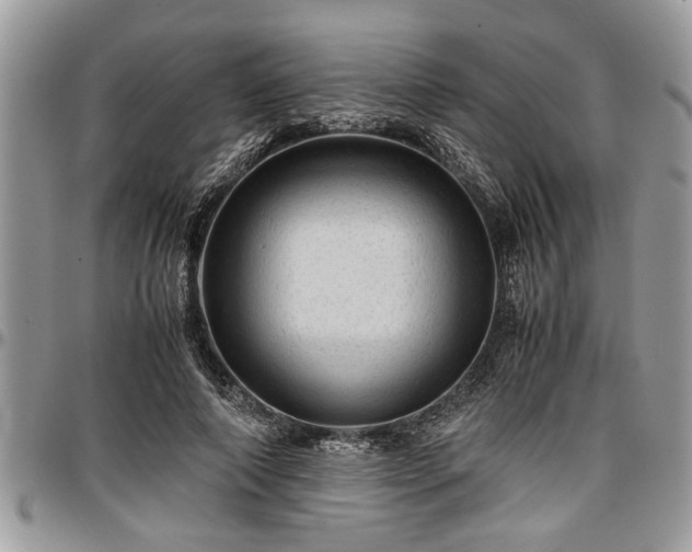 X0000096940690200802151215