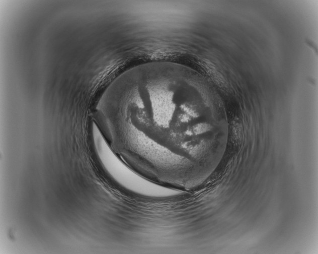 X0000096940691200802151215