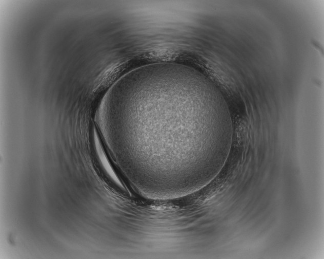 X0000096940693200802151215