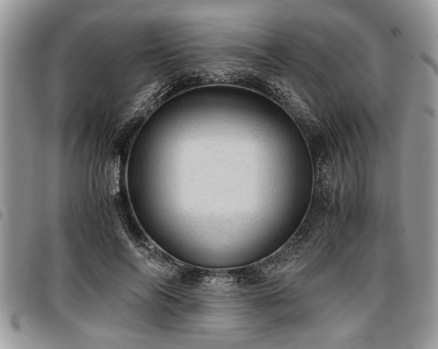 X0000096940694200802151215