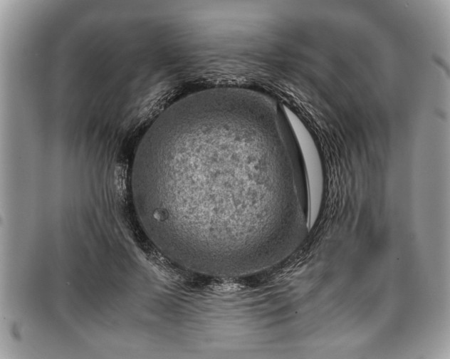 X0000096940695200802151215