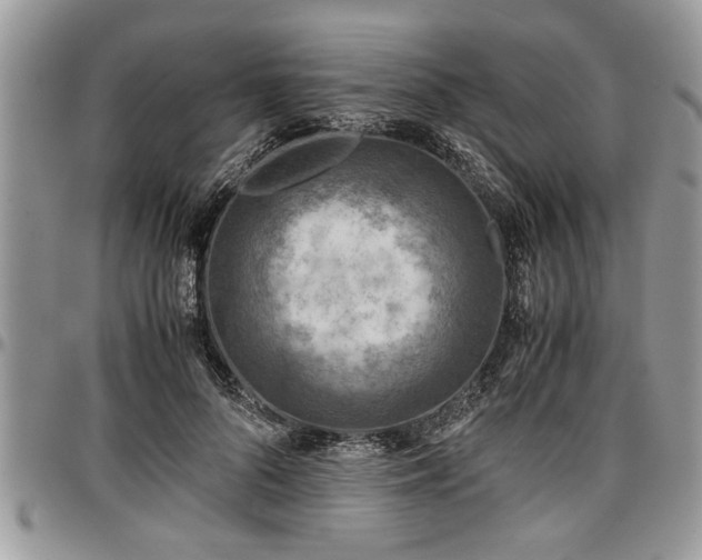 X0000096940696200802151215