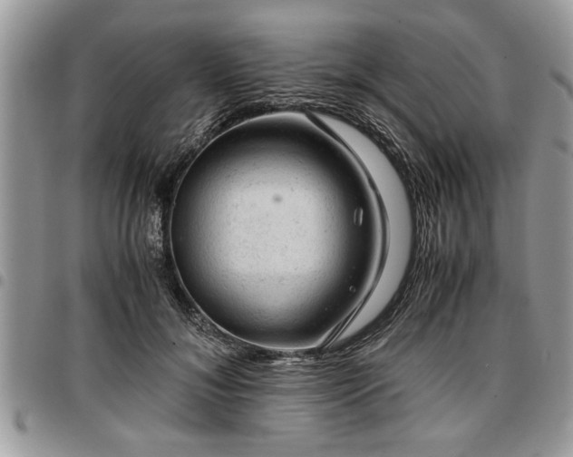 X0000096940700200802151215