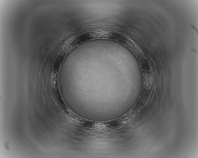 X0000096940701200802151215