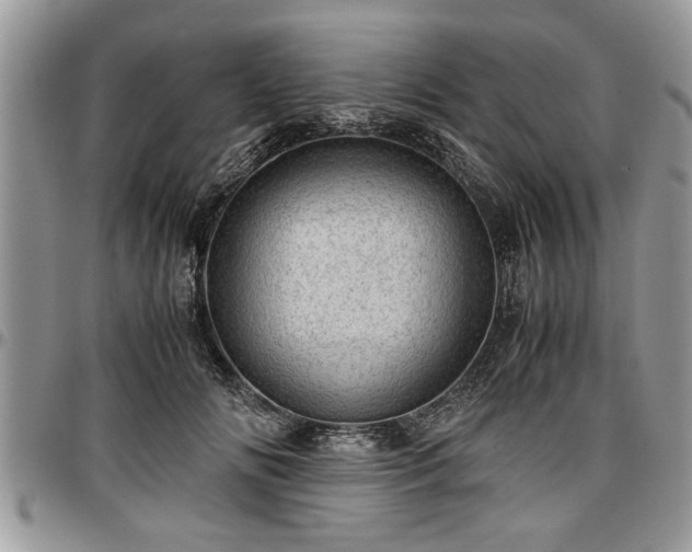 X0000096940702200802151215