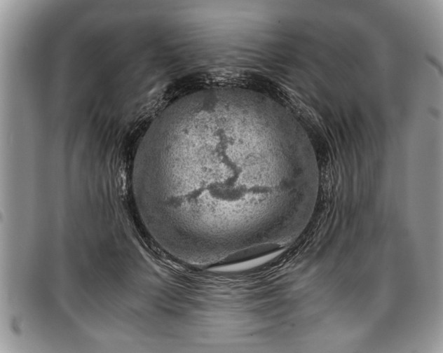 X0000096940703200802151215