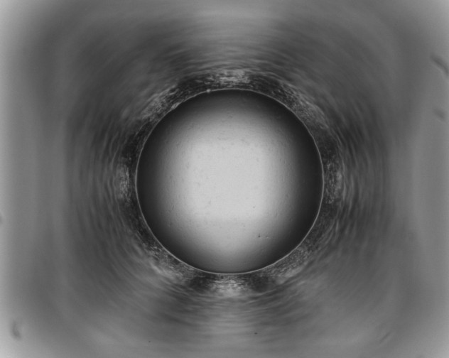 X0000096940704200802151215