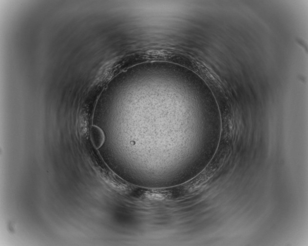 X0000096940706200802151215