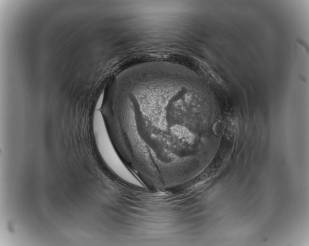X0000096940707200802151215