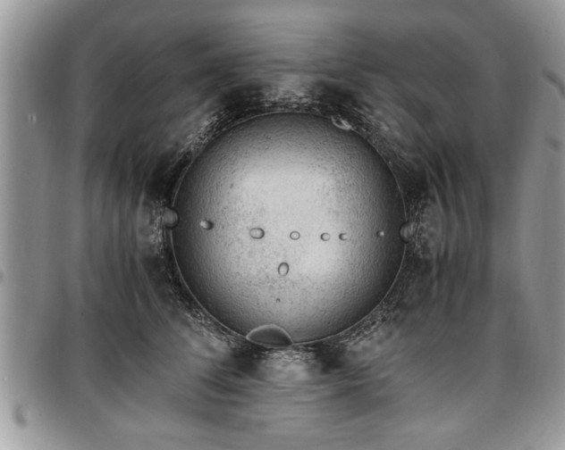 X0000096940708200802151215