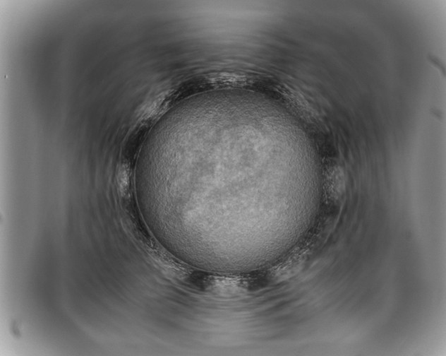 X0000096940709200802151215