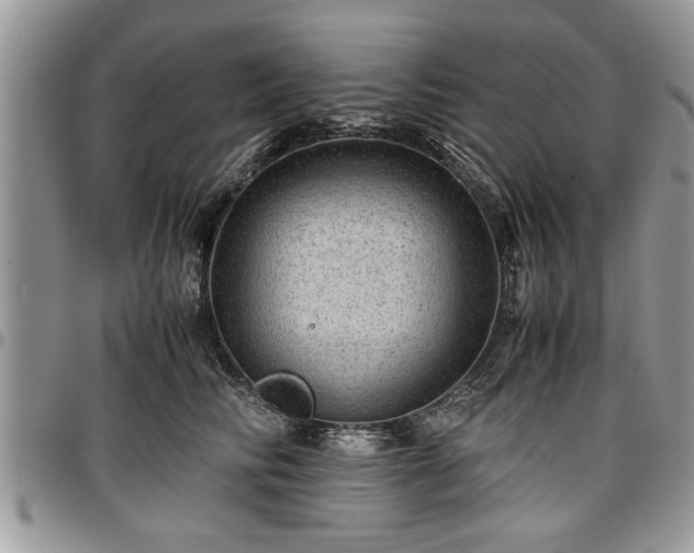 X0000096940710200802151215