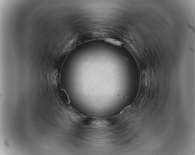 X0000096940712200802151215