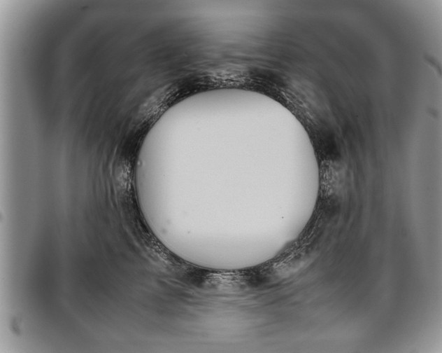 X0000096940713200802151215