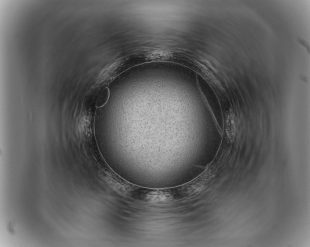 X0000096940714200802151215