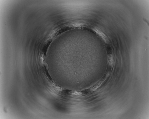 X0000096940718200802151215