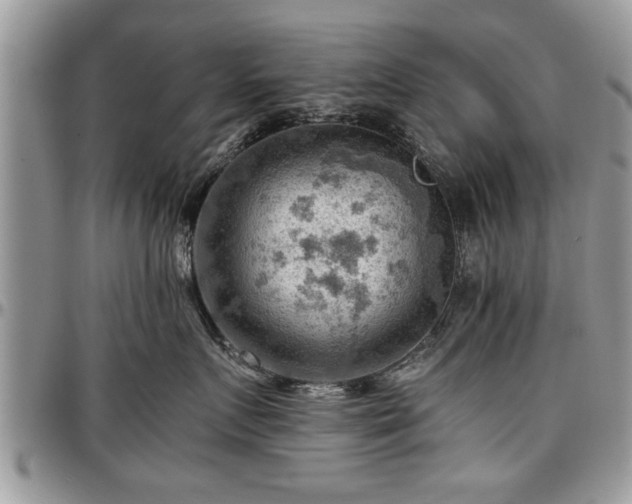 X0000096940719200802151215