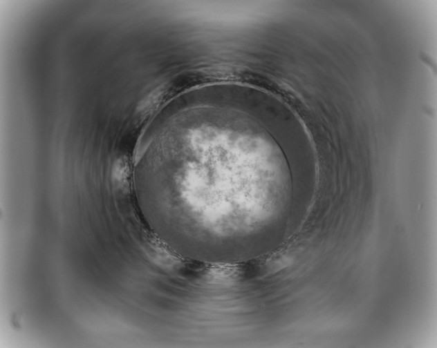 X0000096940720200802151215
