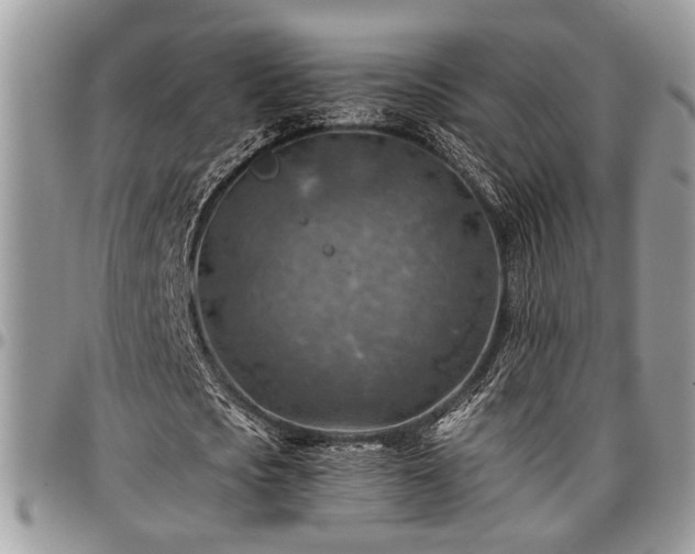 X0000096940721200802151214