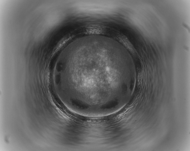 X0000096940722200802151214