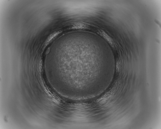 X0000096940724200802151214