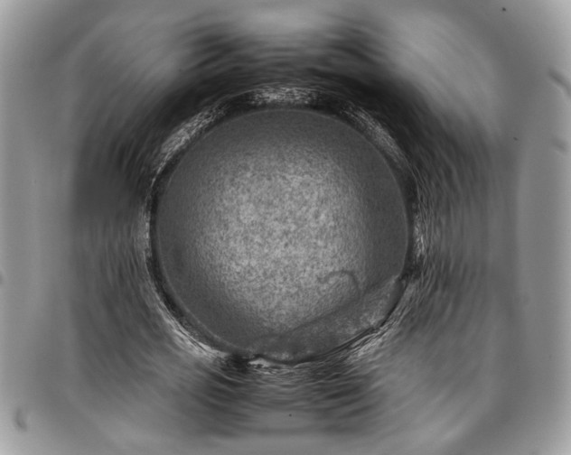 X0000096940725200802151214
