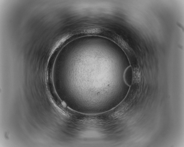 X0000096940726200802151214