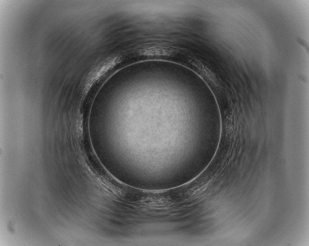 X0000096940727200802151214