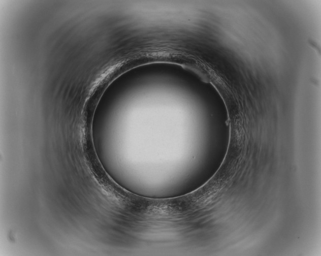 X0000096940728200802151214
