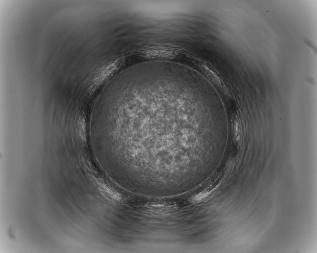X0000096940729200802151214