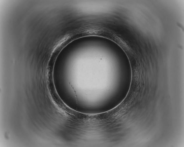 X0000096940730200802151214