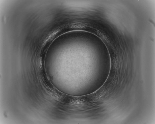 X0000096940731200802151214